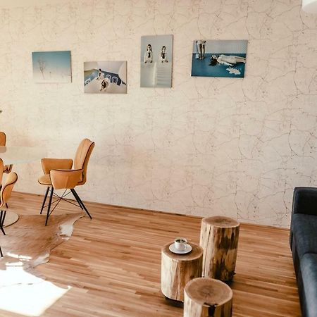 Luxury Apartments Zelny Trh 4 布尔诺 外观 照片