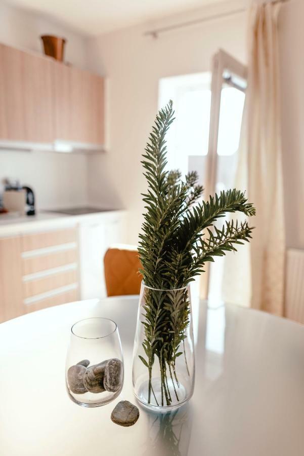 Luxury Apartments Zelny Trh 4 布尔诺 外观 照片