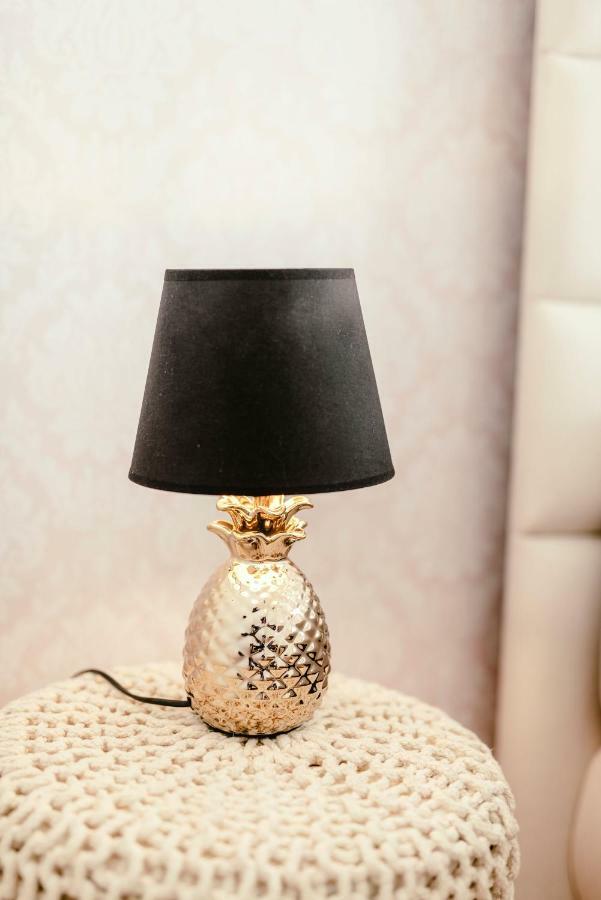 Luxury Apartments Zelny Trh 4 布尔诺 外观 照片