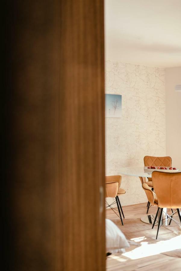 Luxury Apartments Zelny Trh 4 布尔诺 外观 照片