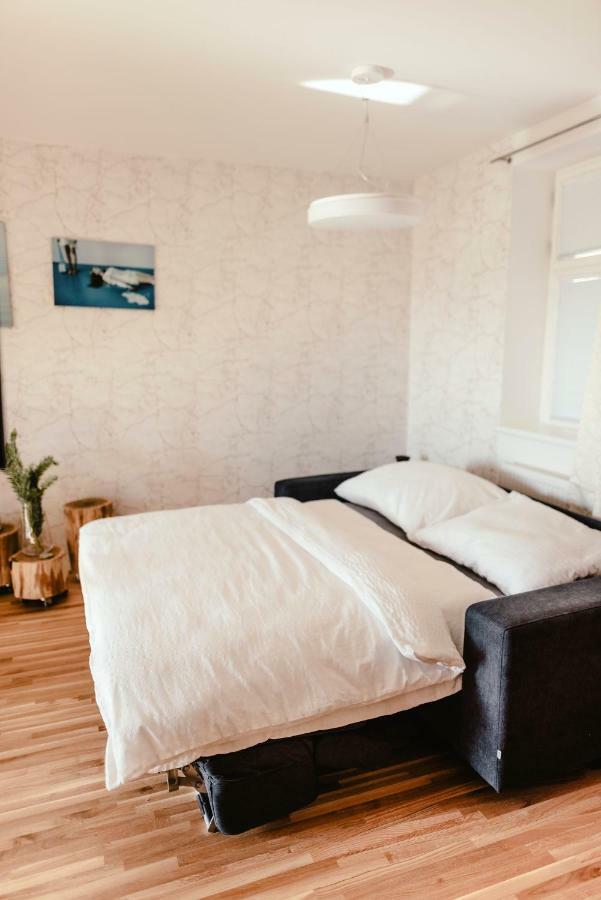Luxury Apartments Zelny Trh 4 布尔诺 外观 照片